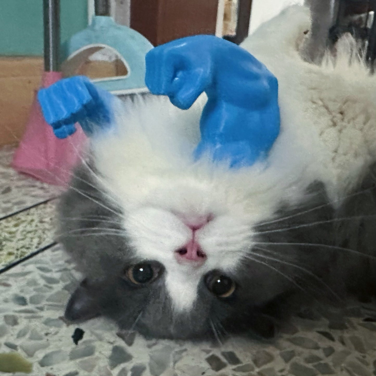 Meowscular Arms
