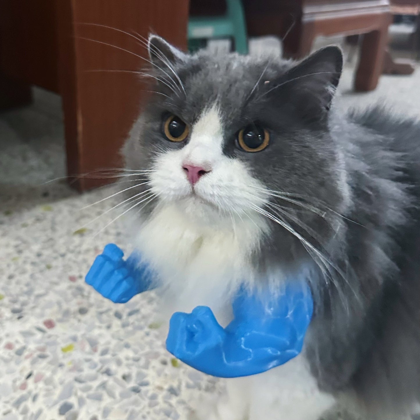 Meowscular Arms