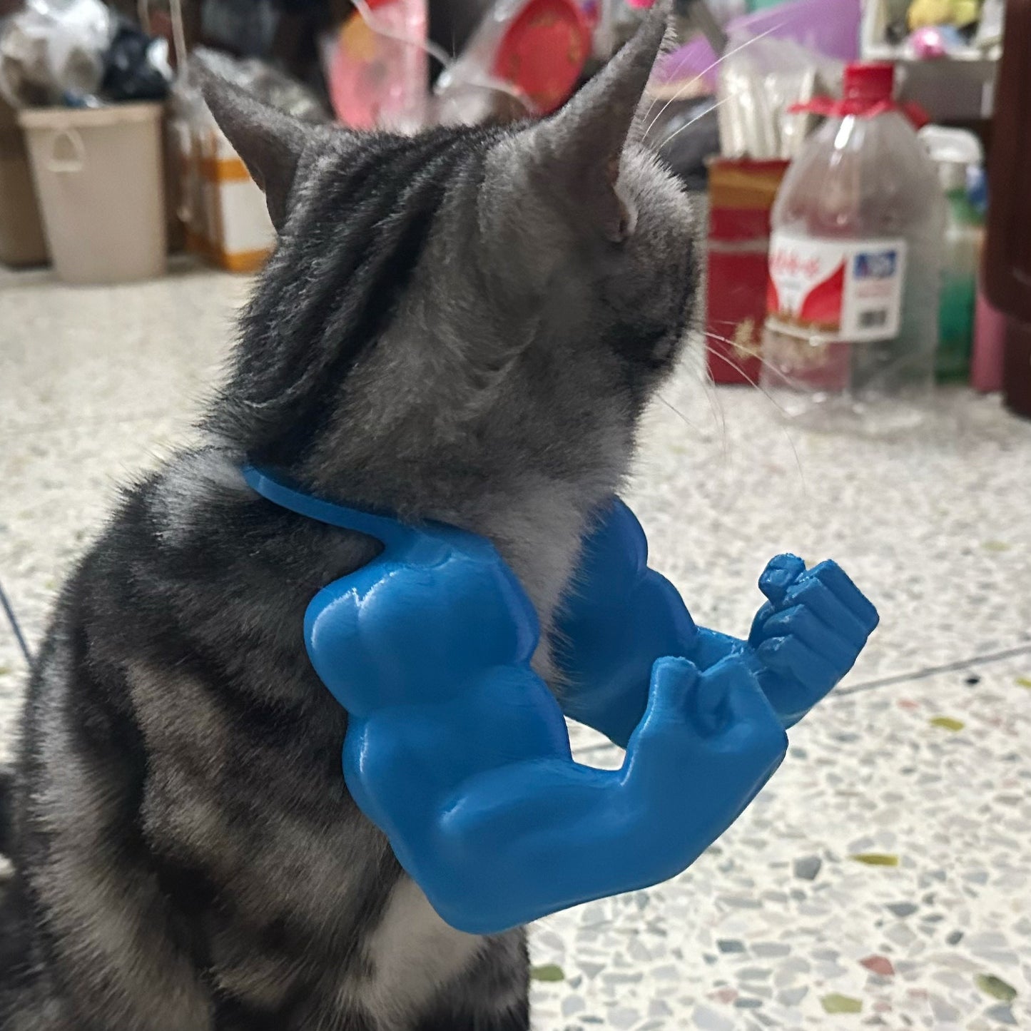 Meowscular Arms