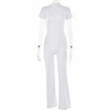 41373625122868|41373625155636|41373625188404