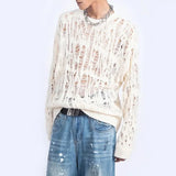 Advbridge Men Sweater Harajuku Perspective Destructed Hollow Hold Pullover Tops Autumn Streetwear Fashion Trendy Daily Sweater Unisex