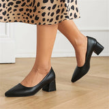 Advbridge Women Shoes  Ladies Dress Pumps Large Size 40-43 Pointed Toe Party Office High Heel Shallow Mouth Shoes Female Dropshopping
