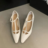 Advbridge New Retro Style Pumps Shallow Mouth Single Shoe Pointed Thin Heel Buckle Mary Jane Shoes