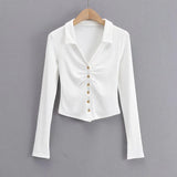 42374346801204|42374346833972|42374346866740