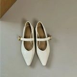 ADVBRIDGE  -  High Heeled Shoes for Women 2025 Spring Thick Heels That Are Not Tiring Retro Single Shoes Woman Black French Pointed Work Shoes
