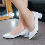 Advbridge 2024 Spring/Summer Autumn Single Shoes Korean Edition Pointed Thick Heels Women's Lacquer Leather High Heels Summer Casual Shoes