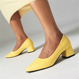 Advbridge Women Shoes  Ladies Dress Pumps Large Size 40-43 Pointed Toe Party Office High Heel Shallow Mouth Shoes Female Dropshopping
