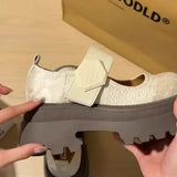 ADVBRIDGE  -   Mary Jane Shoes Women's French Temperament National Style Single Shoes with Skirts Women's Shoes Platform Small Leather Shoes