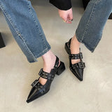 Advbridge Pointy Mary Jane Shoes for Women 2023 Summer Model with Skirt Small Leather Shoes Retro Chunky Single Shoes for Women