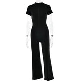 41373625024564|41373625057332|41373625090100