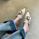 Advbridge Pointy Mary Jane Shoes for Women 2023 Summer Model with Skirt Small Leather Shoes Retro Chunky Single Shoes for Women