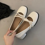 41648307208244|41648307241012|41648307273780|41648307306548|41648307339316|41648307372084