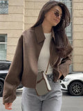 Advbridge Faux Fur Women's Jacket Long Sleeve Lapel Zipper Female Wool Female Coats 2024 Autumn Street Fashion Vintage Loose Lady Outwears