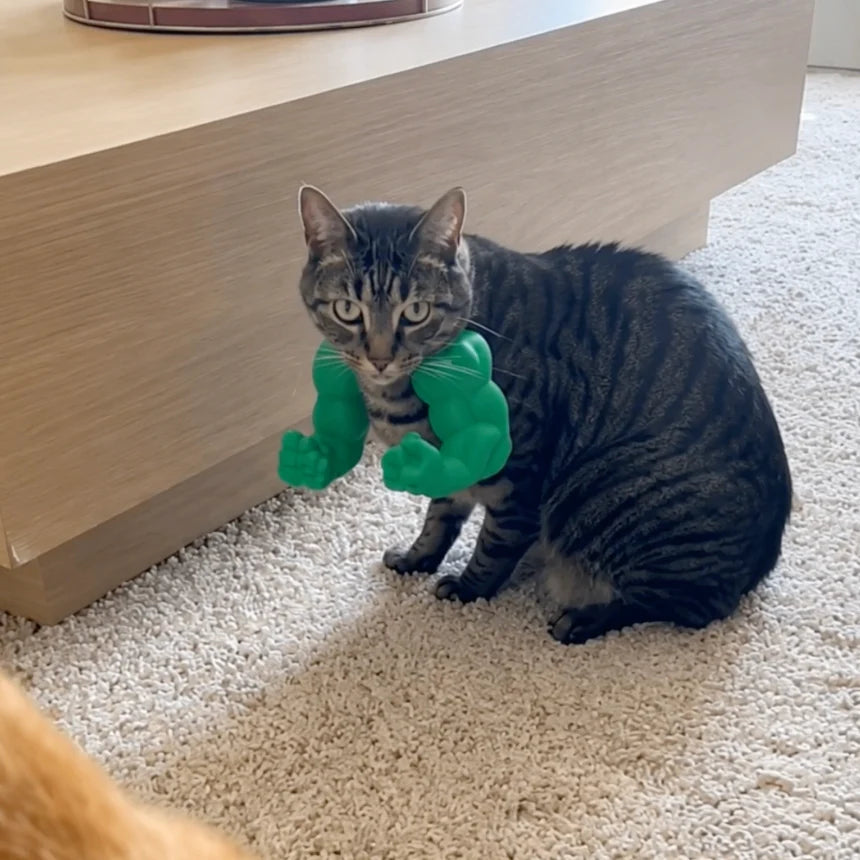 Meowscular Arms