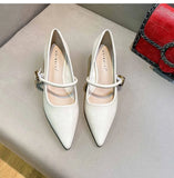 Advbridge 2024 Woman Elegant Summer French Pointed Toe Mary Janes Casual Chunky Heels Female Retro Shoes Low Heeled Women Shoes Q130
