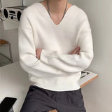 Advbridge 2025 Spring Fall Casual Mens Knit Jumper Tops Long Sleeve V Neck Knitted Sweaters Men Vintage V Neck Slim Fit Knitting Pullovers