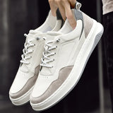 Advbridge Men's Lace Up Shoes Spring and Autumn New Trendy Hundred Men's Small White Shoes Fashionable Breathable Casual Board Shoes