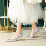 Advbridge Bridal Wedding Shoes Niche Premium Silver High-heeled Shoes Female Thin Heel Bridesmaid Pearl Wedding Dress Cat Heel Shoes