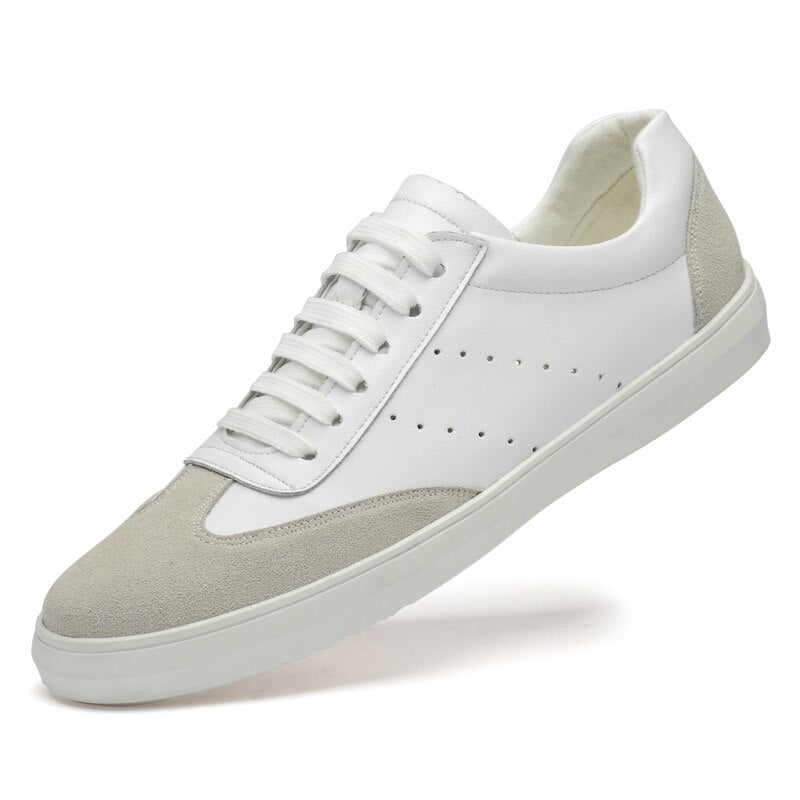 Advbridge Men's Low Top Casual Abiye Travel Shoes All-Match Fashion Shoes Mens Adulto  Comfortable Breathable Lace-Up Flat Sneakers