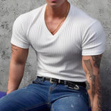 Advbridge Summer Gym Runing T-Shirt Mens Bodybuilding Sport Quick Dry Short Sleeve Tops Male Casual Striped Skinny Tee Shirt Man Clothing
