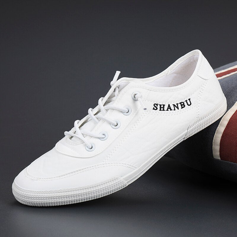 Advbridge Men's shoes new breathable canvas shoes in the spring of 2023 flats youth casual shoes soft bottom vulcanized shoes